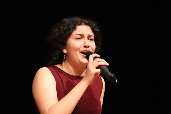 sommerkonzert_25_i-226BD7A2BB-DE9C-EEE9-8A04-D318D2D96A6E.jpg