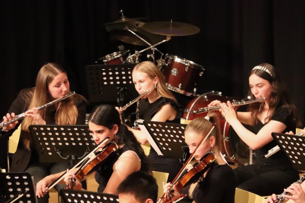 sommerkonzert_25_i-653F06D307-6562-A3D0-549C-662CD87822EA.jpg