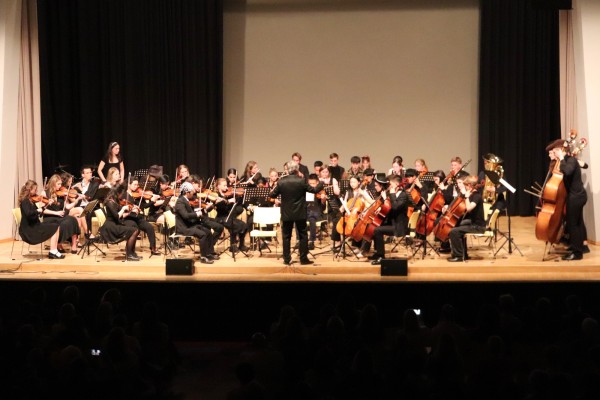 sommerkonzert_25_i-71C040A91A-2134-A653-9E0E-F85D946FBF61.jpg