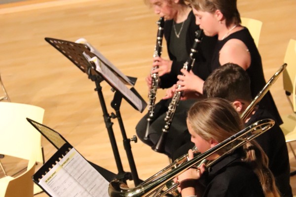 sommerkonzert_25_ii-1505C33201-3FAF-EC6B-4AB0-C3573C9A9003.jpg