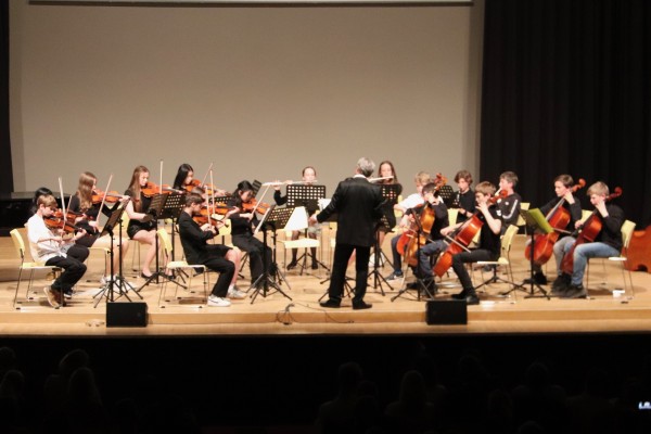 sommerkonzert_25_ii-32F1855723-62E3-5D9F-D32C-D4D3499A7F25.jpg