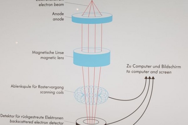 naturwissenschaft-und-technik_tage-3-und-4_4C544B790-355E-A5DA-89DD-49EE907882ED.jpg